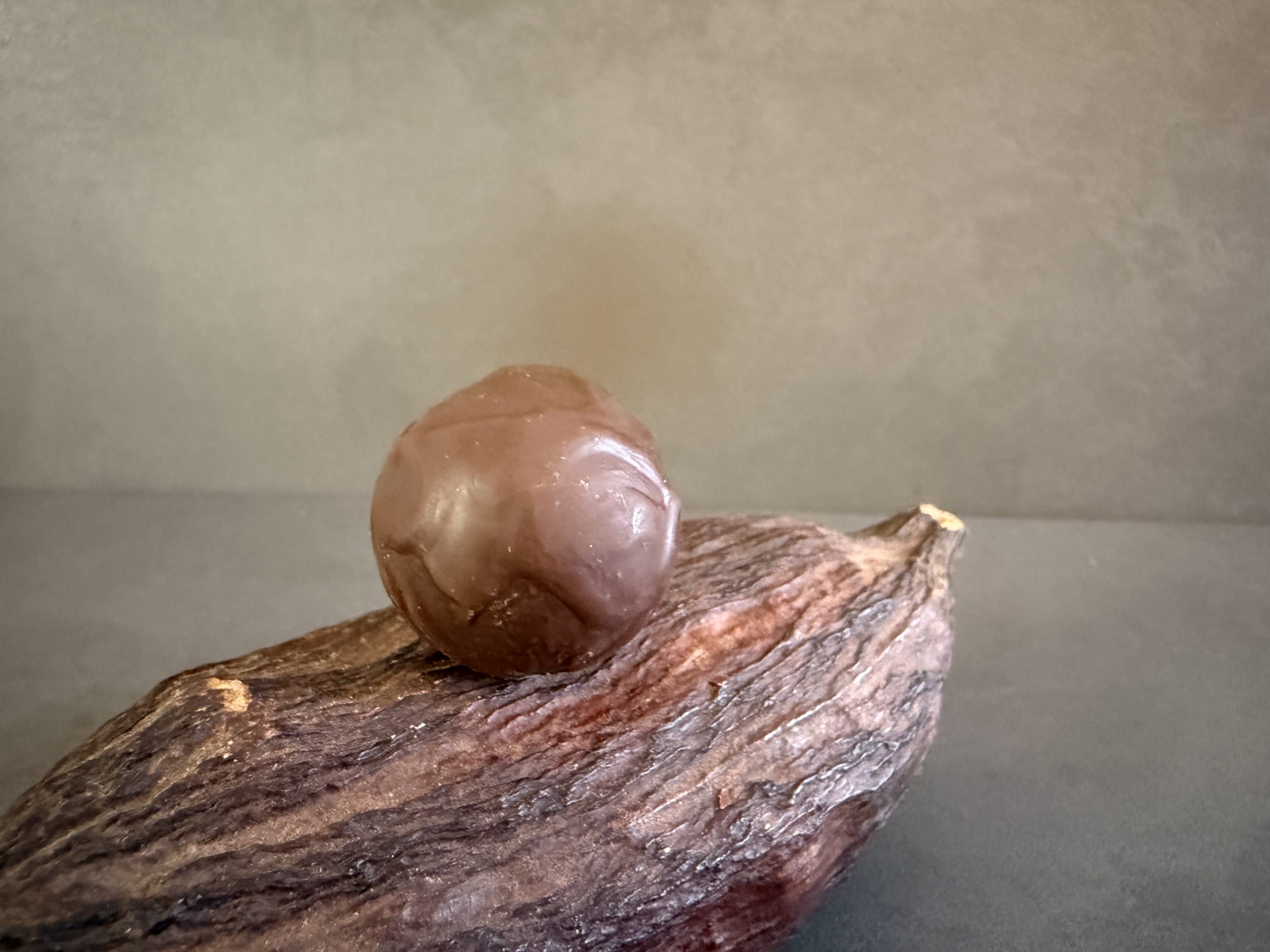 Caramel a la rose au chocolat au lait