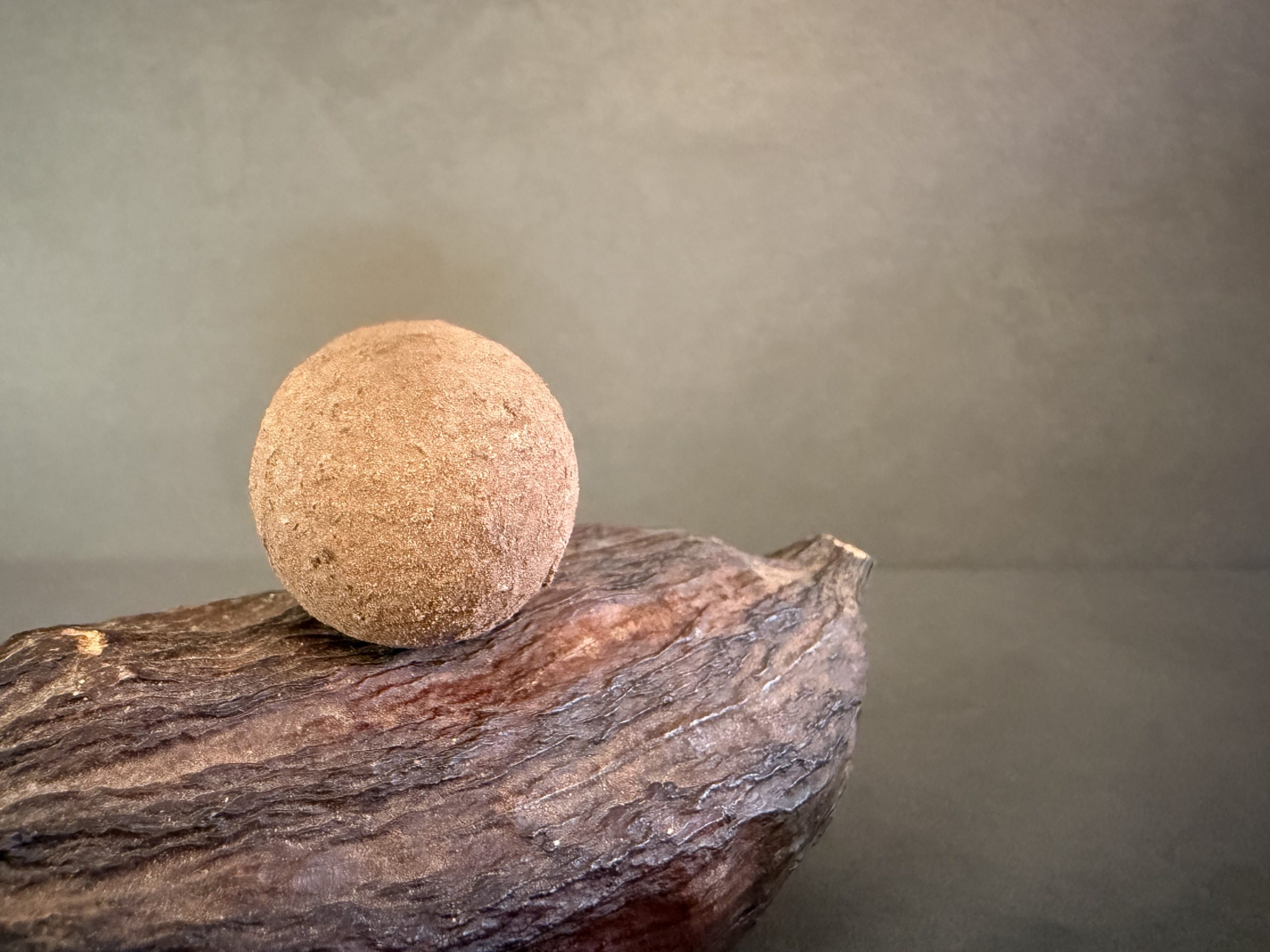 Truffe au vin cuit raisinee